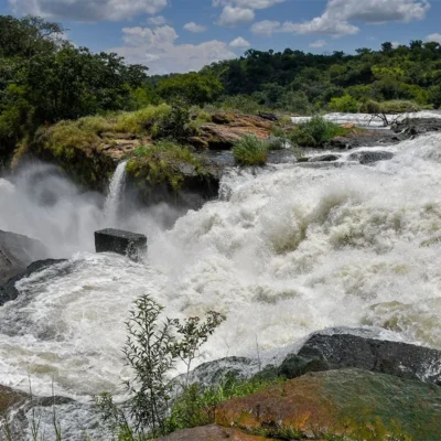 3 Days Murchison Uganda Big Five Safari 3 Days Murchison Uganda Big Five Safari