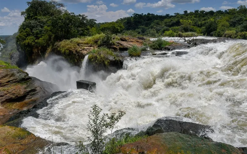 3 Days Murchison Uganda Big Five Safari 3 Days Murchison Uganda Big Five Safari