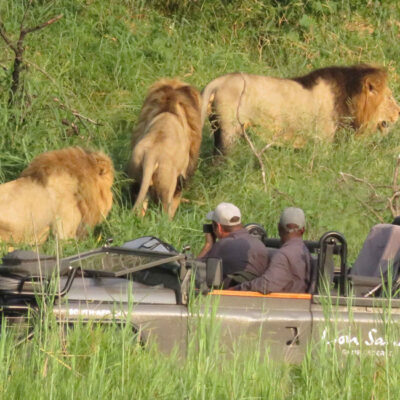 5-Day Ultimate Burundi Safari