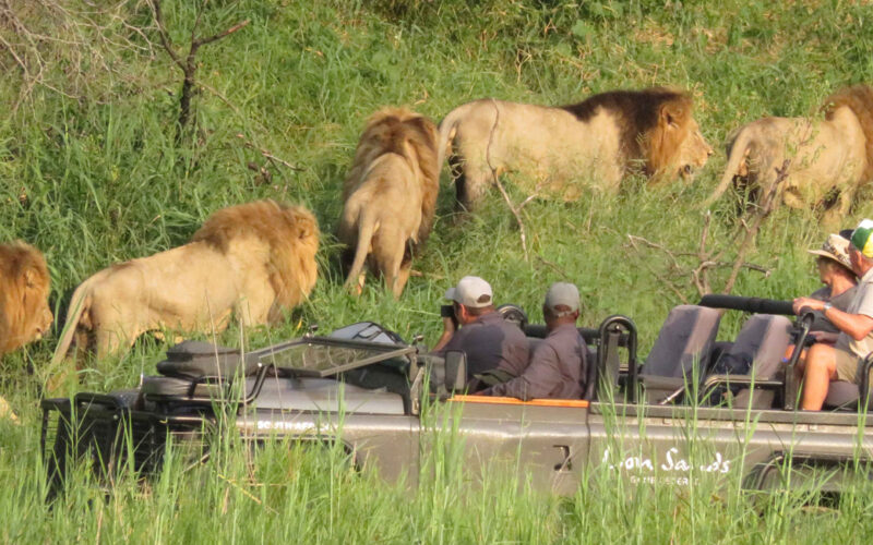 5-Day Ultimate Burundi Safari 5-Day Ultimate Burundi Safari