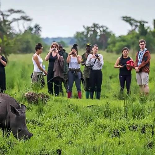 5 Days Uganda Classic Safaris Tour 5 Days Uganda Classic Safaris Tour