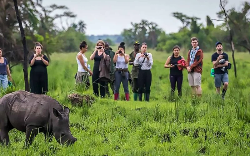 5 Days Uganda Classic Safaris Tour 5 Days Uganda Classic Safaris Tour