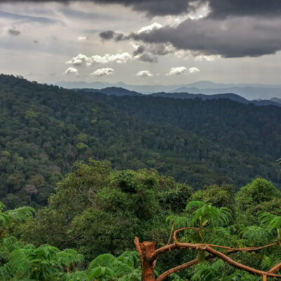 6 Days Rwanda Safari 6 Days Rwanda Safari