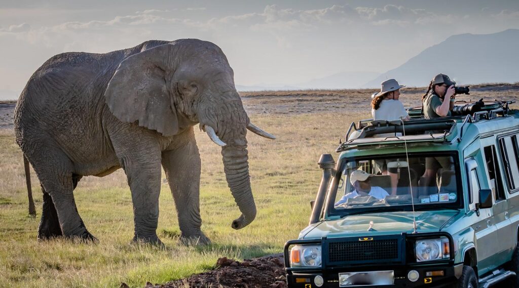 Game Drive Safari in Murchison Falls National Park