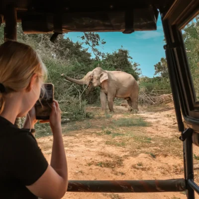 6-Day Private Kenya Big Five Safari