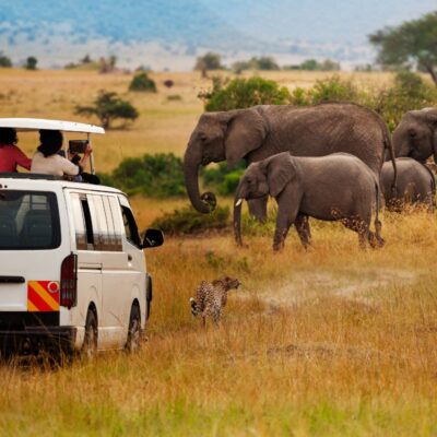 7-Day Kenya Wildlife Budget Safari