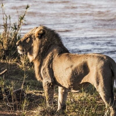 7-Day Kenya Wildlife Safari