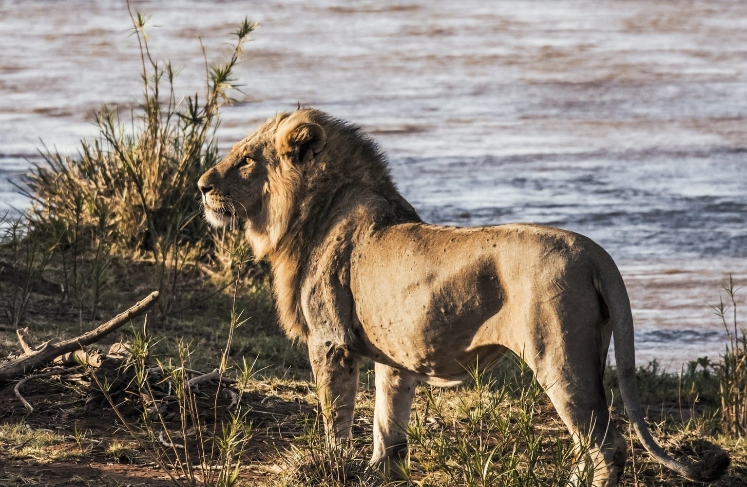 7-Day Kenya Wildlife Safari