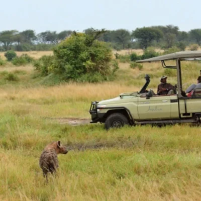 7-Day Tanzania Wildlife Safari 7-Day Tanzania Wildlife Safari