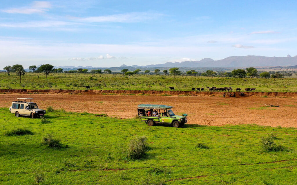 7 Days Uganda Big Five Safari