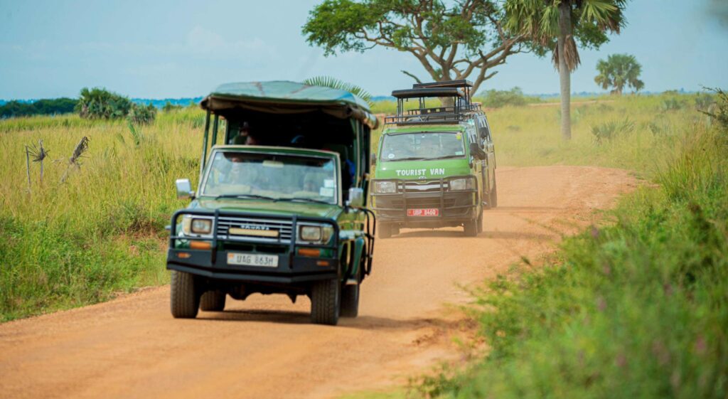 7 Days Uganda Game Drives & Gorilla Safari