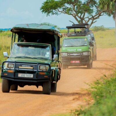 7 Days Uganda Game Drives & Gorilla Safari 7 Days Uganda Game Drives & Gorilla Safari