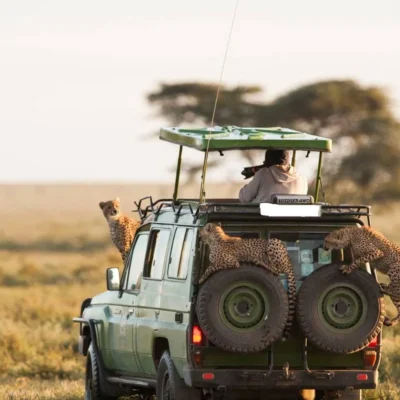8-Day Magical Kenya Game Drive Safari