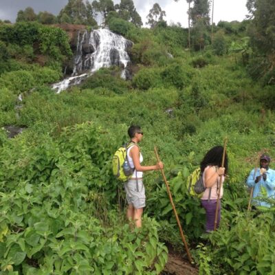 8 Days Amazing Uganda Safari Tour 8 Days Amazing Uganda Safari Tour