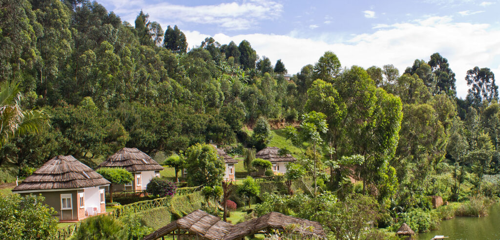 Bunyonyi Safaris Resort Lodges