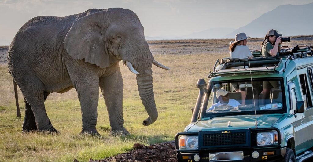 Murchison Falls National Park