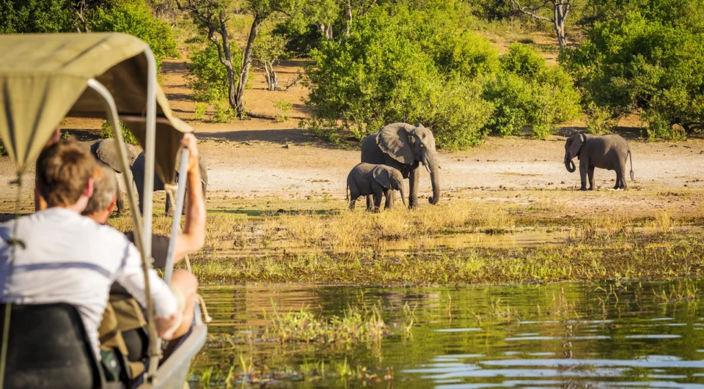 Private-Tanzania-Safari