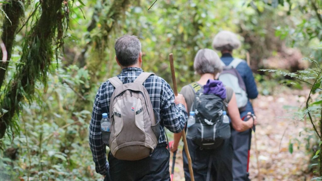 Rwanda Cultural Safari Tour