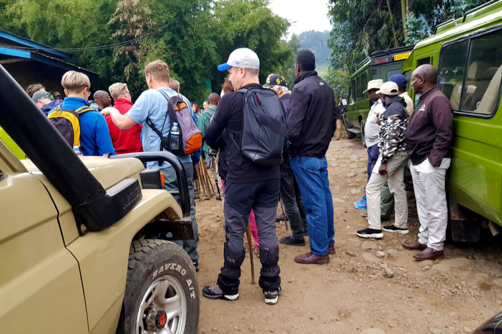 Rwanda Gorilla and Wildlife Safari