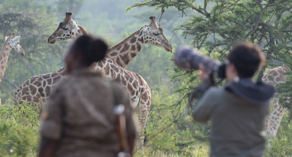 Uganda Holidays Adventure Safaris