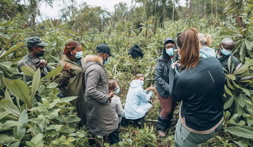 What Can I Pack for Rwanda Safaris?