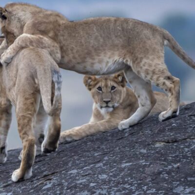 10-Day Kenya Adventure Safari