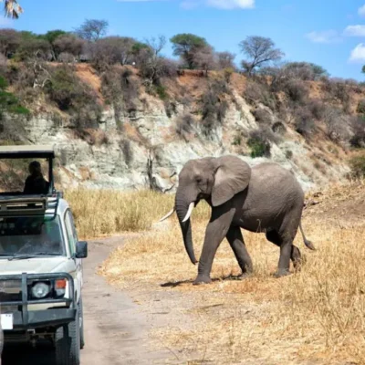 8-Day Tanzania Northern Circuit Safari 8-Day Tanzania Northern Circuit Safari