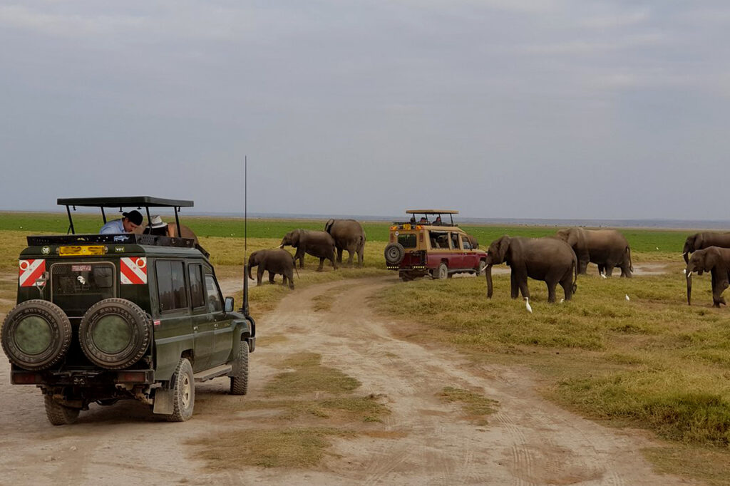 9-Day Kenya Wildlife Road Safari