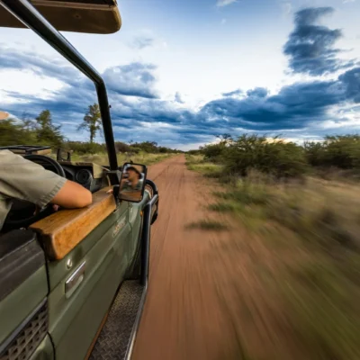 9-Day Kenya Wildlife Road Safari