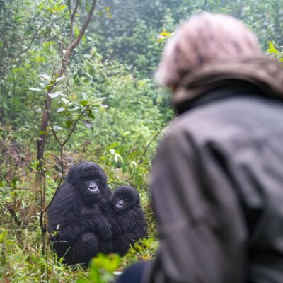 9-Day Rwanda Great Primate Expedition Safari 9-Day Rwanda Great Primate Expedition Safari