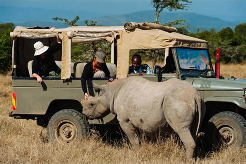 Best Kenya Wildlife Safari Tour