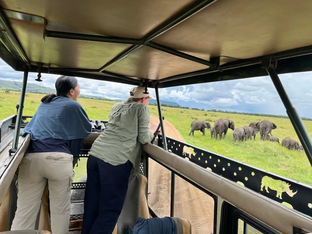 Kenya Safaris