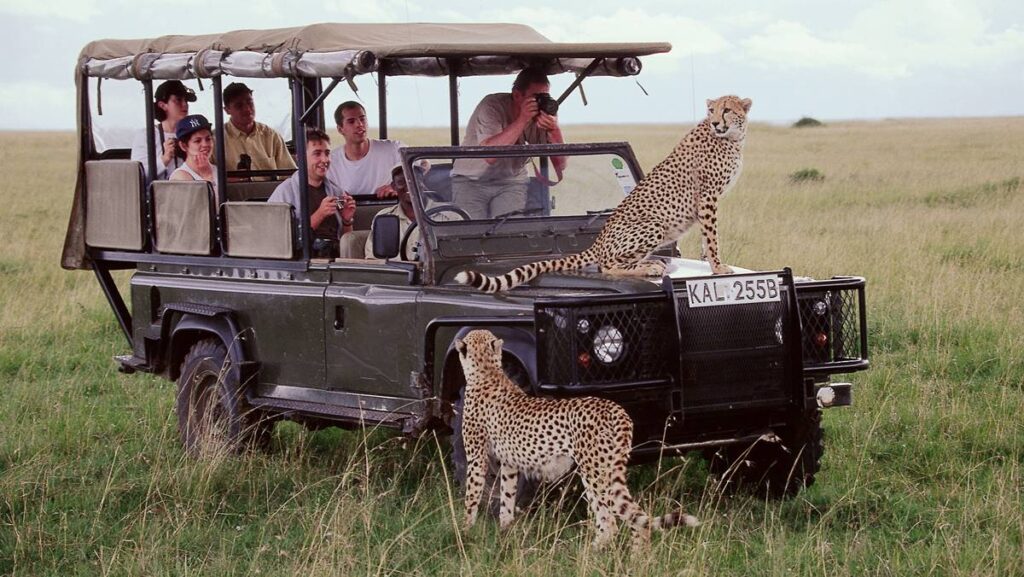 Masai Mara Safaris from Nairobi
