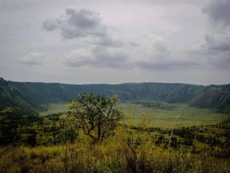 Queen Elizabeth National Park