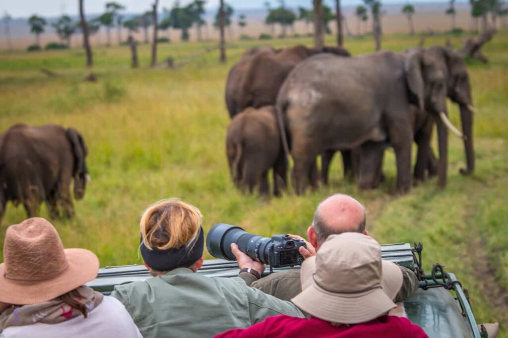 Small Groups Tours on Kenya Wildlife Safaris