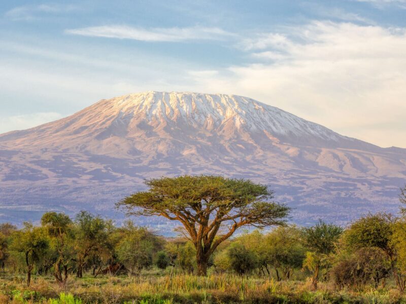 The-classic-view-of-Mt-Kilimanjaro-in-Tanzania-from-Amboseli-in-Kenya