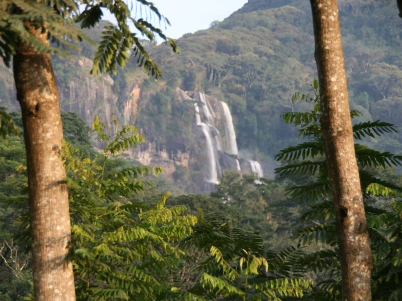 Udzungwa-Mountains-National-Park