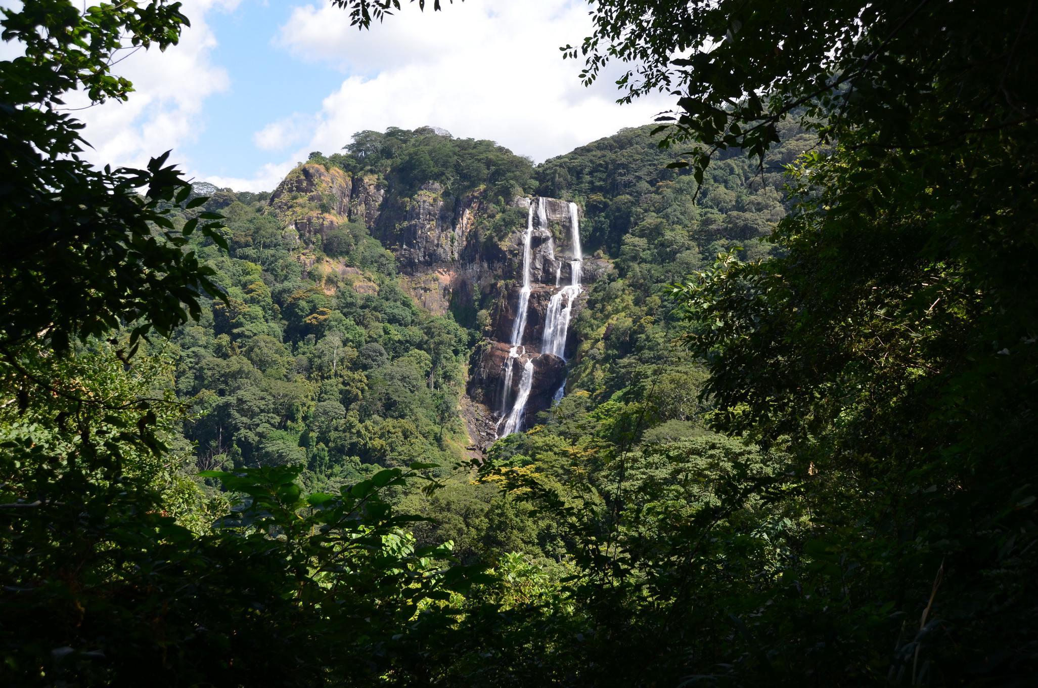 Udzungwa Mountains National Park