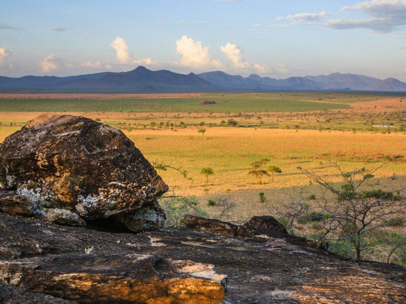 Uganda National Parks