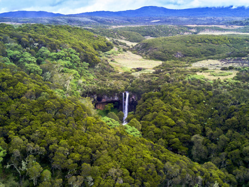 Aberdare National Park