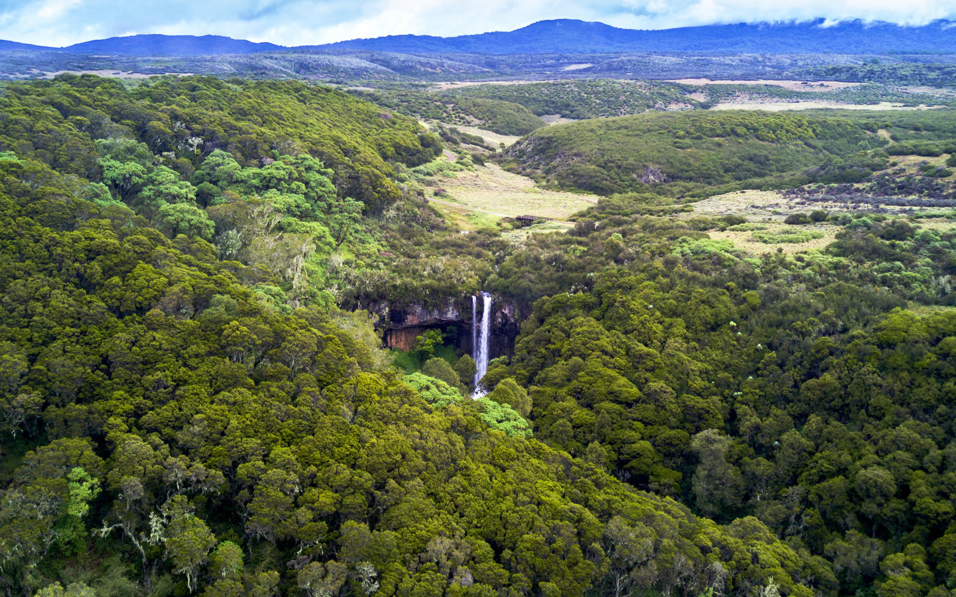 Aberdare National Park