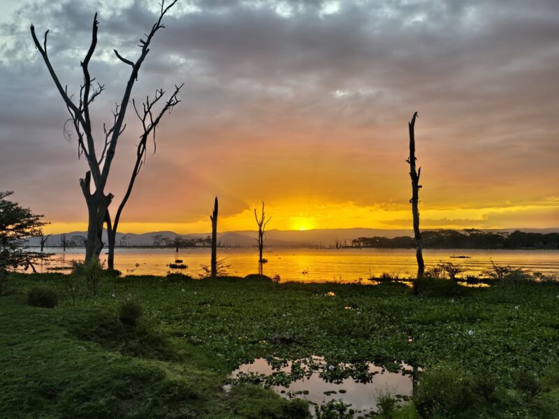 Lake Naivasha National Park
