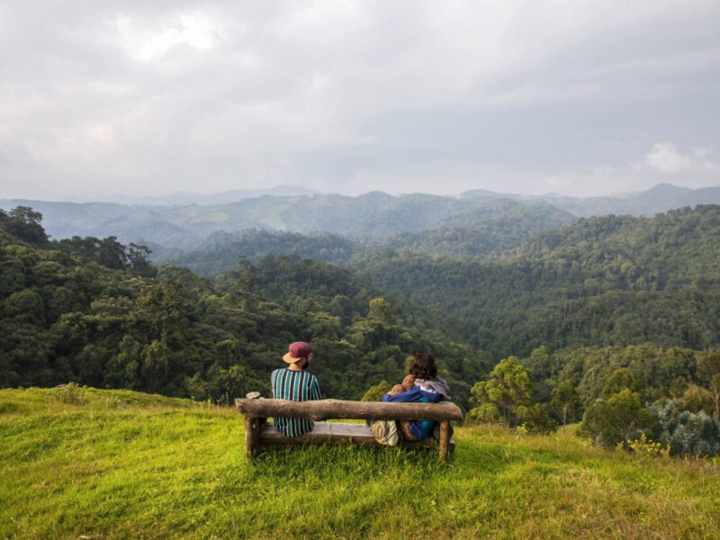 Gishwati-Mukura National Park