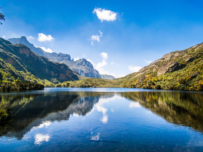 Mount Rwenzori National Park