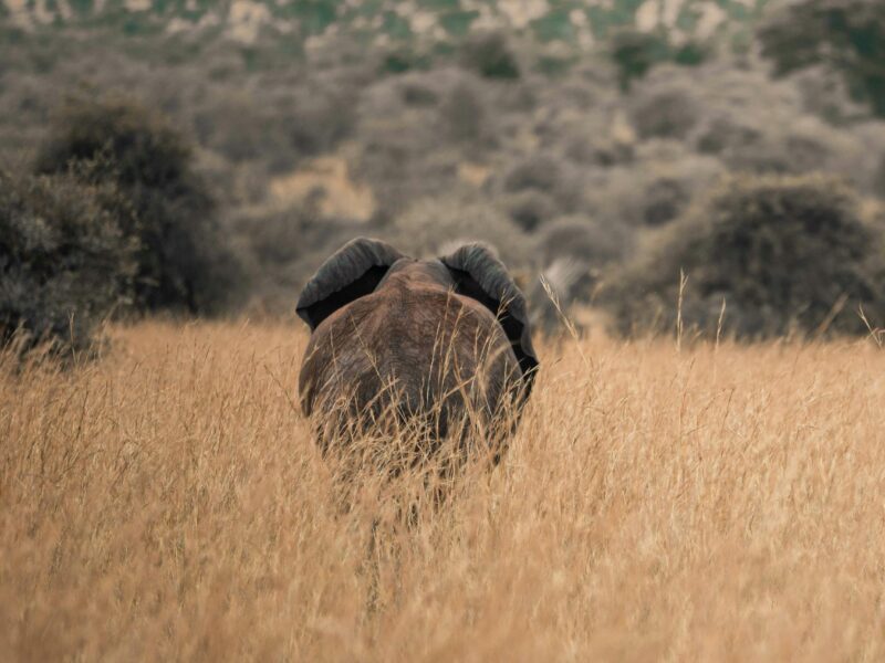 Kidepo Valley National Park