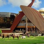Are There Guided Tours Available in Arusha?