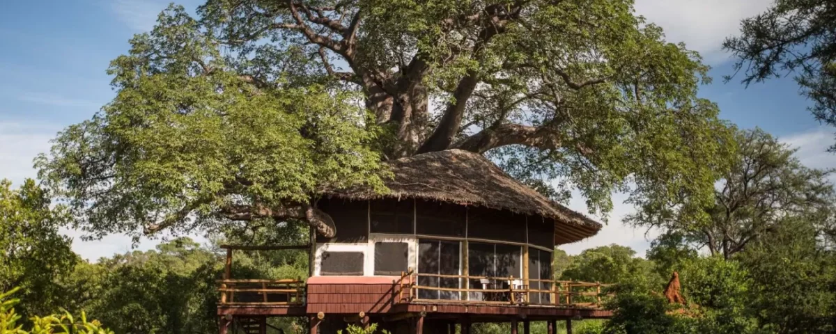 Can You Recommend a Lodge with Easy Access to Tarangire's Wildlife Viewing Areas?
