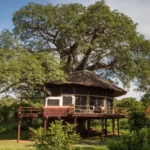 Can You Recommend a Lodge with Easy Access to Tarangire's Wildlife Viewing Areas?