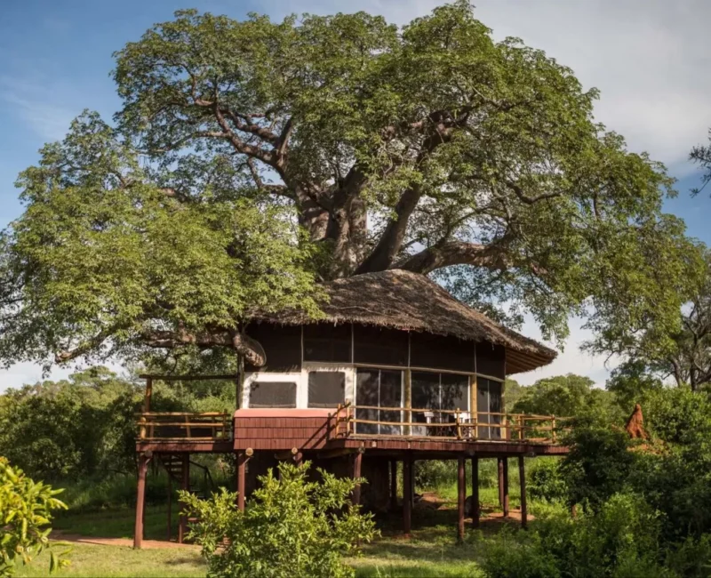 Can You Recommend a Lodge with Easy Access to Tarangire's Wildlife Viewing Areas?