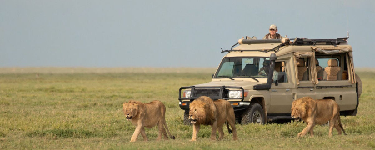 Can I See the Big Five in Serengeti?